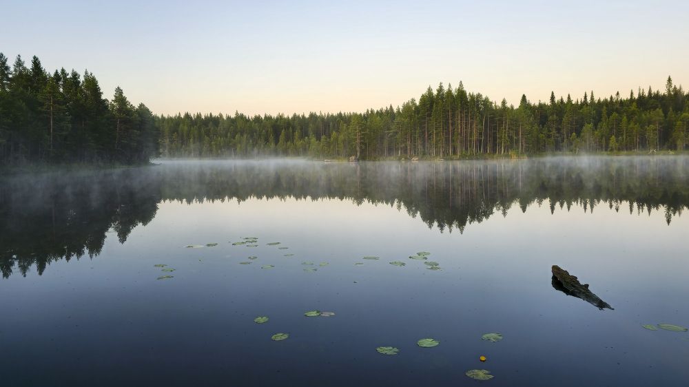 Photograph by Пирог Борис