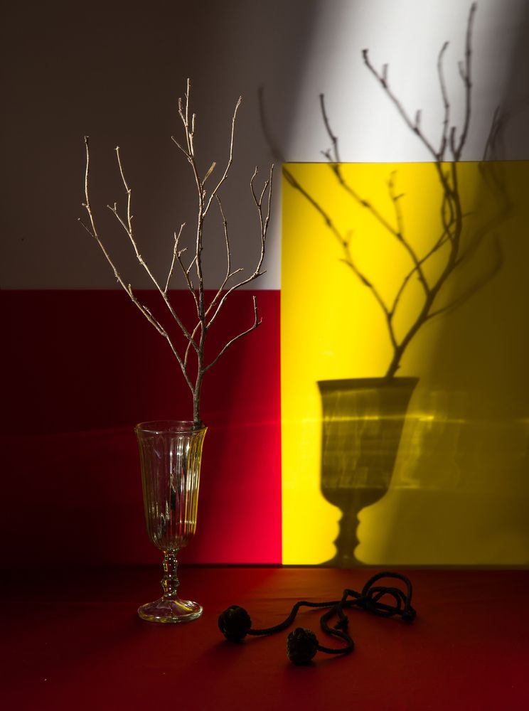 Photograph by Ирина Толокновская