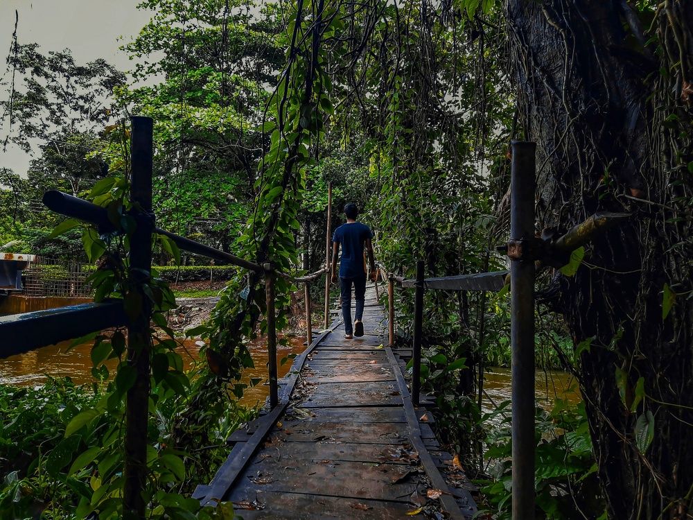 Photograph by M.Maleesha Sathsara Perera