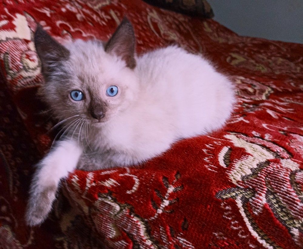 Photograph by Алия Байсыкова