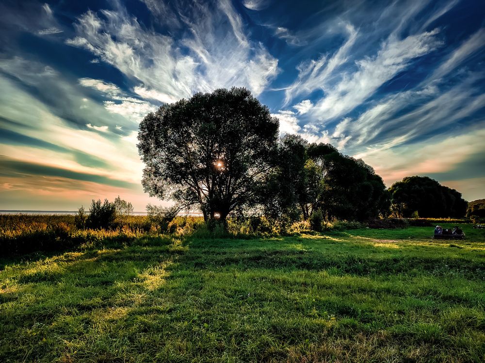 Photograph by Алёна Пшеленская