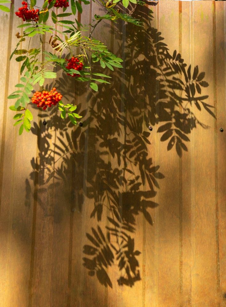 Photograph by Татьяна