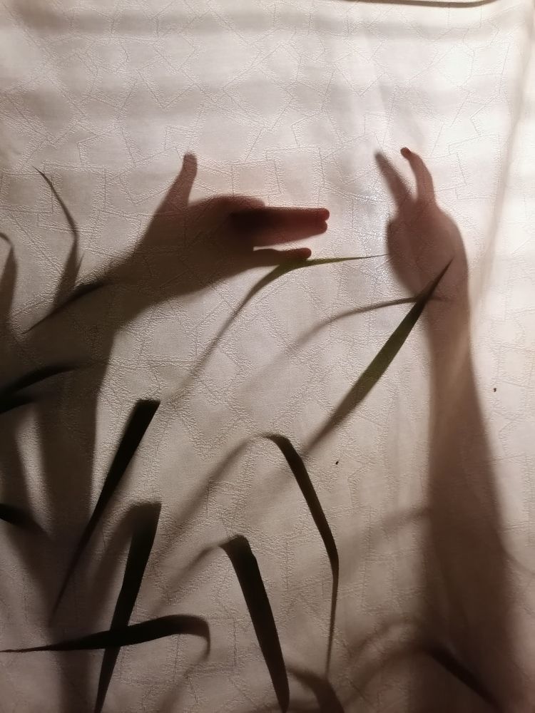 Раз, два, три, четыре, пять - вышел зайчик погулять