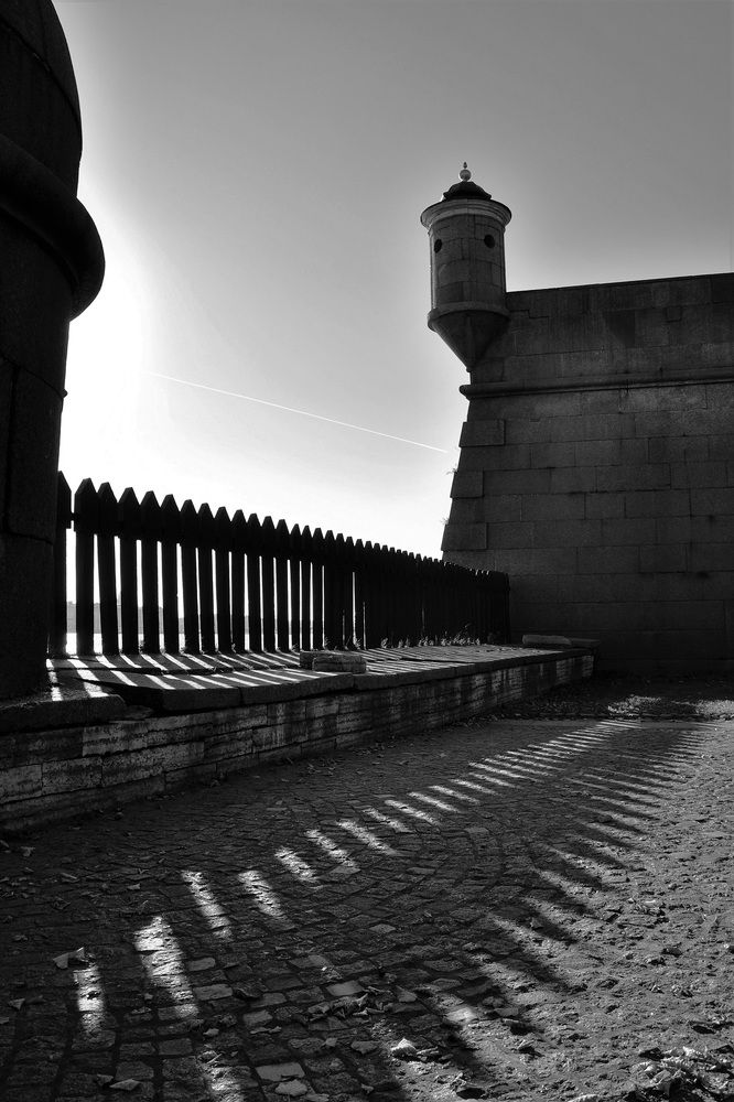 Photograph by Сергей Мехреньгин