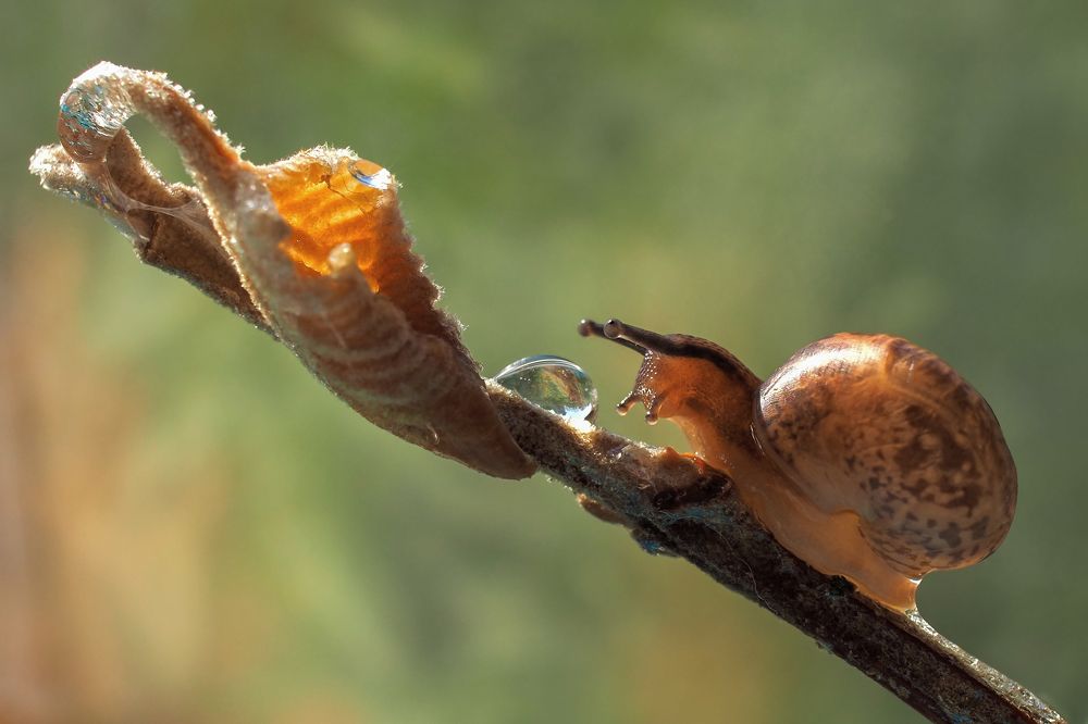 Photograph by Татьяна Эрбутаева