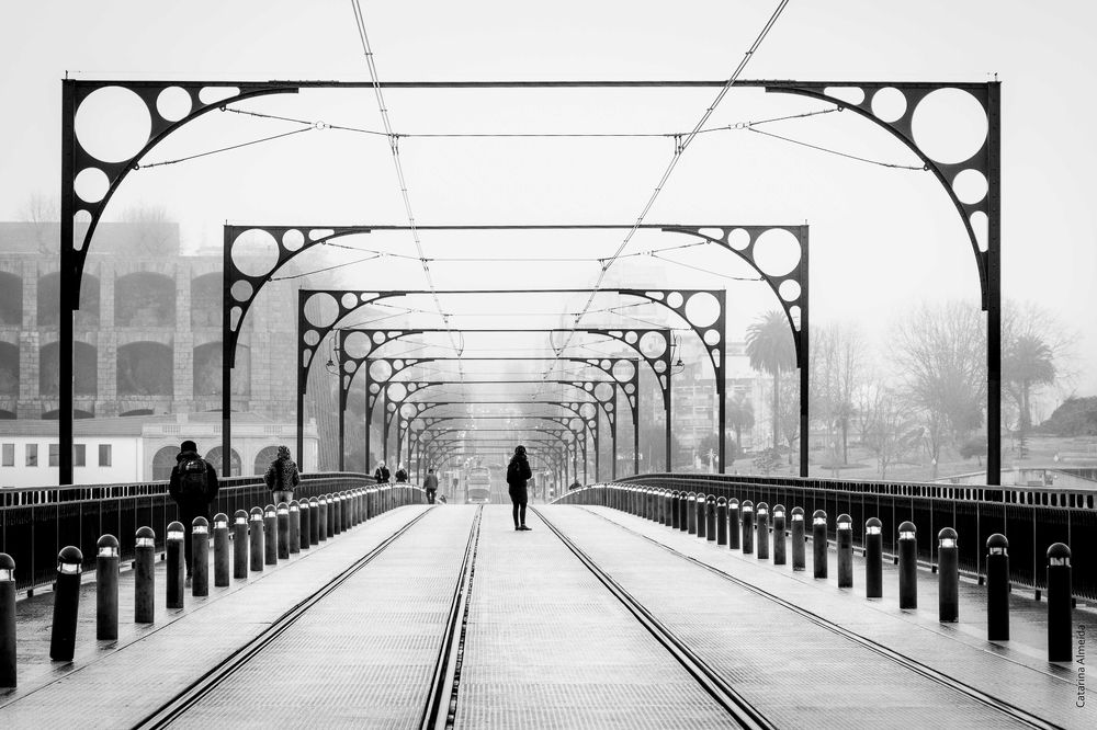 Фотография автора Catarina Almeida