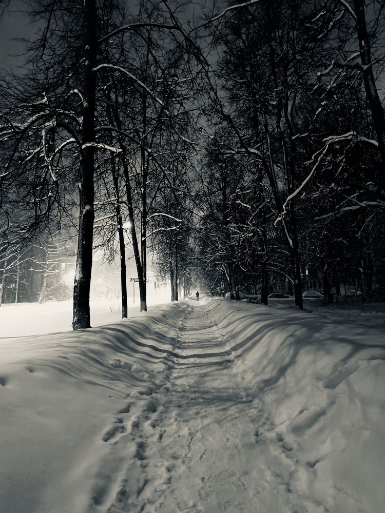 Фотография автора Андрей Занкович