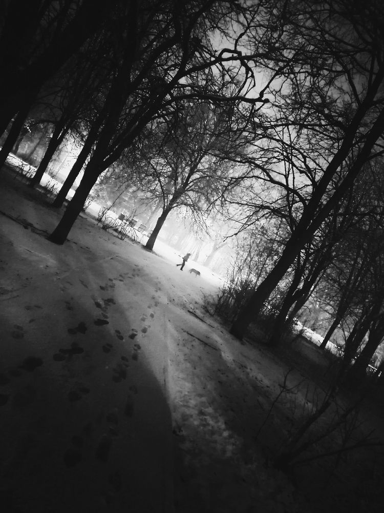 Фотография автора Андрей Занкович