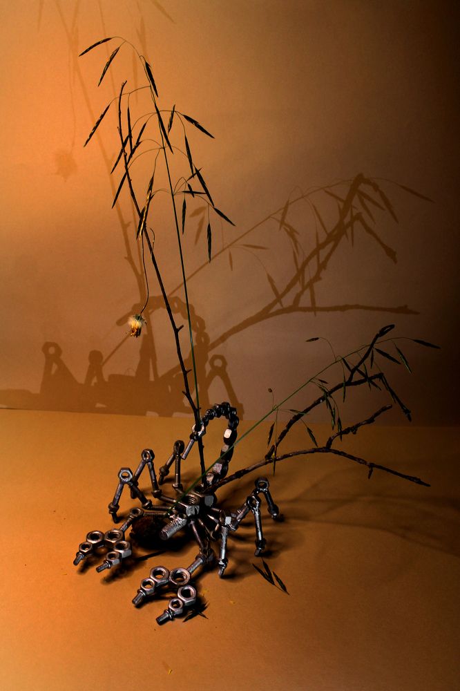 Фотография автора Екатерина Пачина