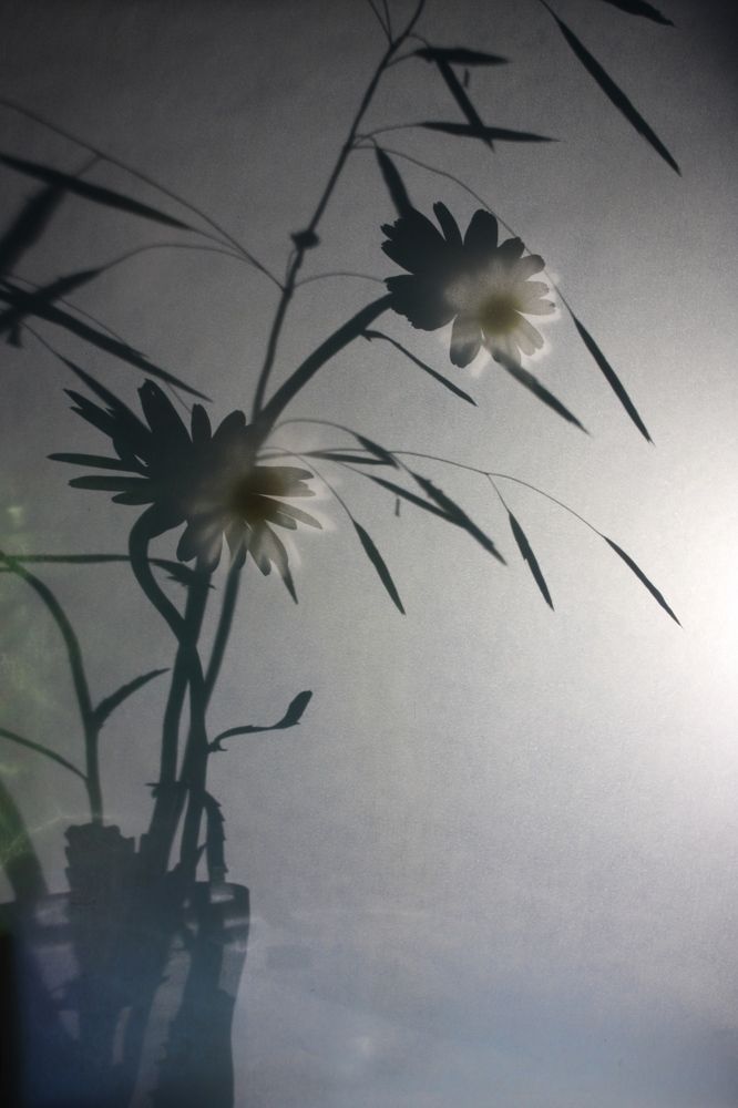 Фотография автора Екатерина Пачина