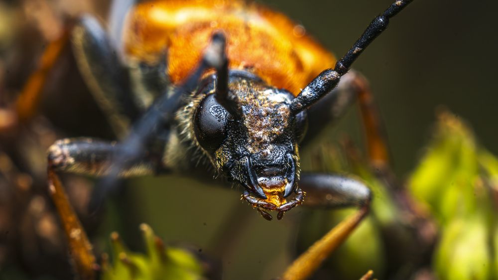 Photograph by Андрей Шабанов