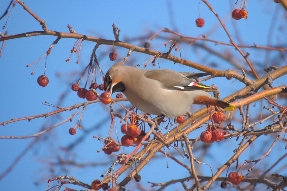 Photograph by Mad Mouse