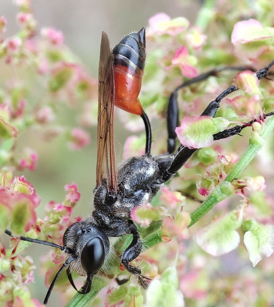Photograph by Дмитрий Фетисов