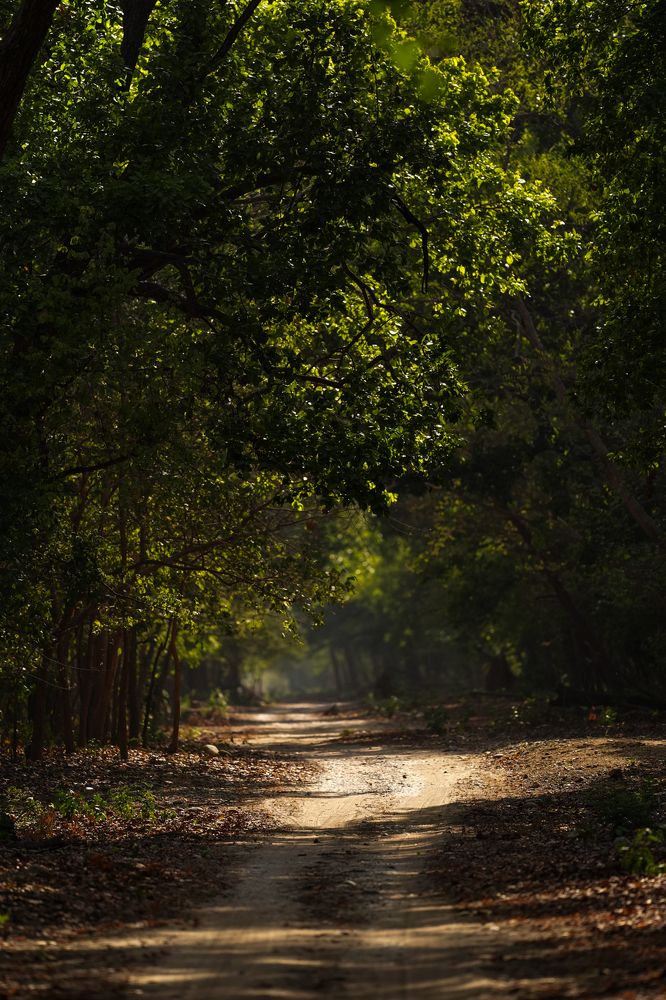 Photograph by Pranav Pula