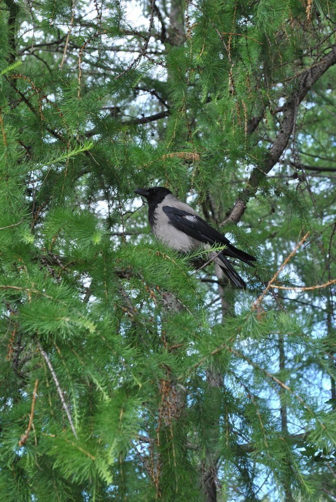 Photograph by Маришка Иванова