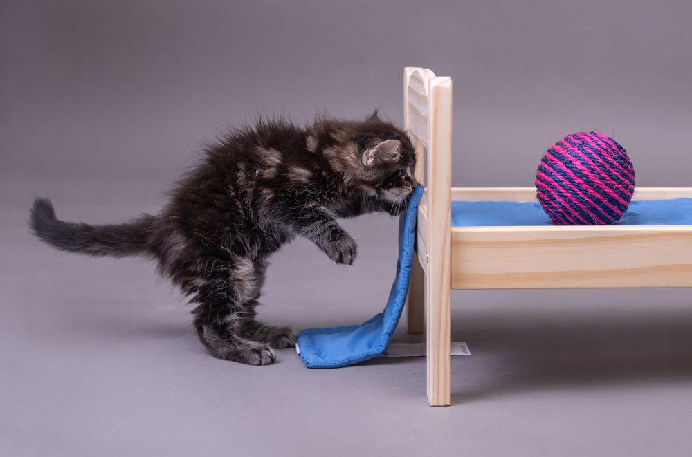 Photograph by наталья залогина