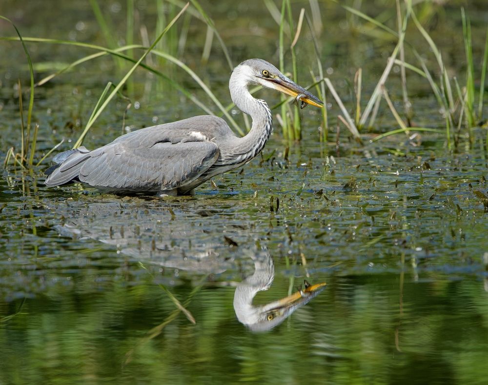 Photograph by Олег Есиков