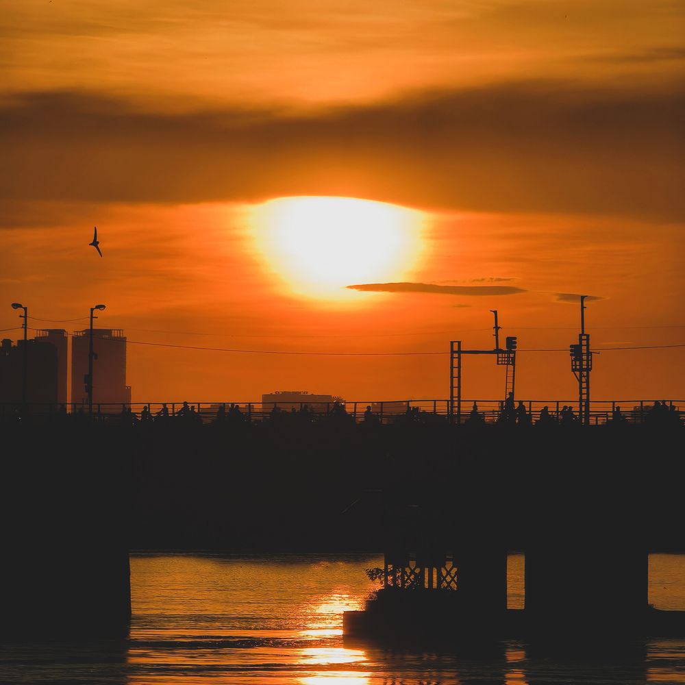 Photograph by Kevin Nguyen