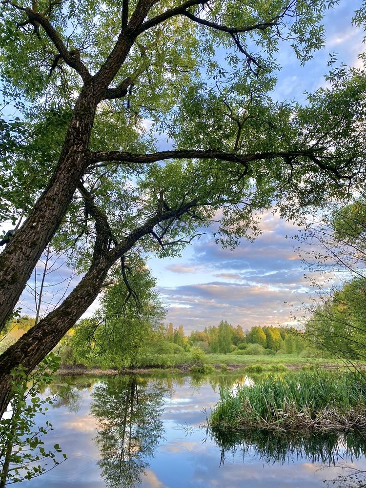 Photograph by Шавловская Марина