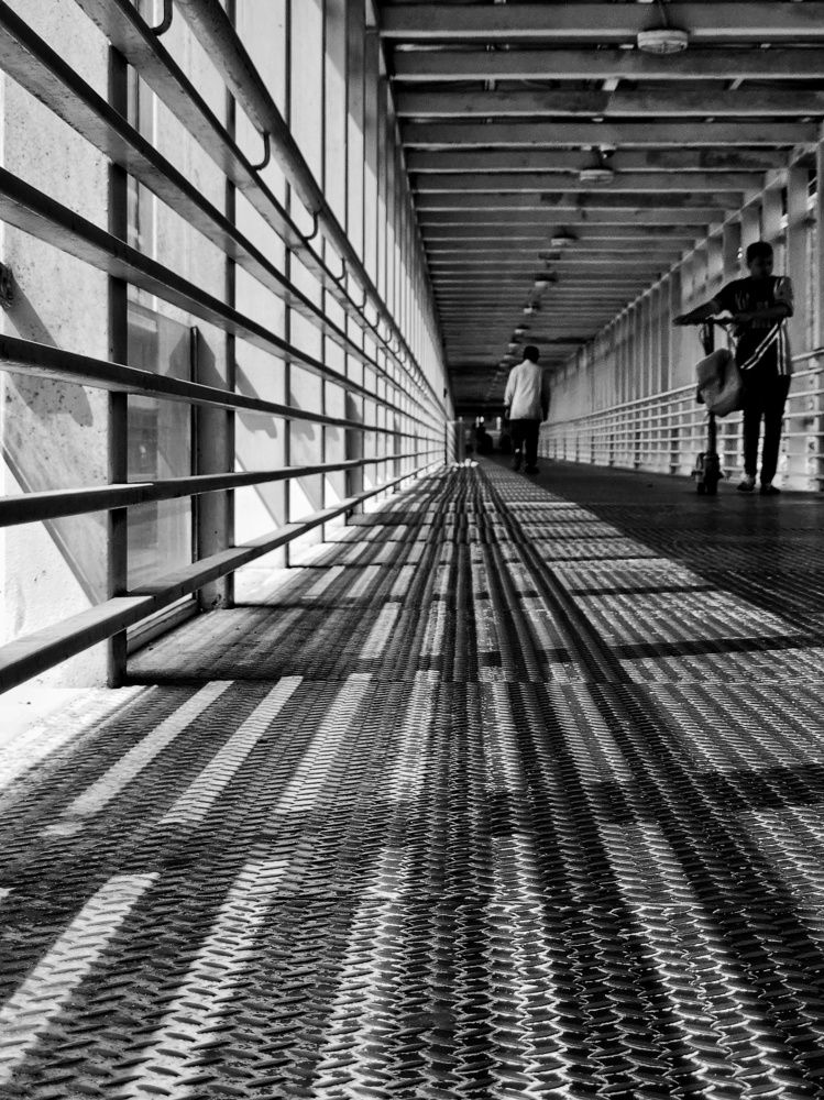 Photograph by Siew Chee chung