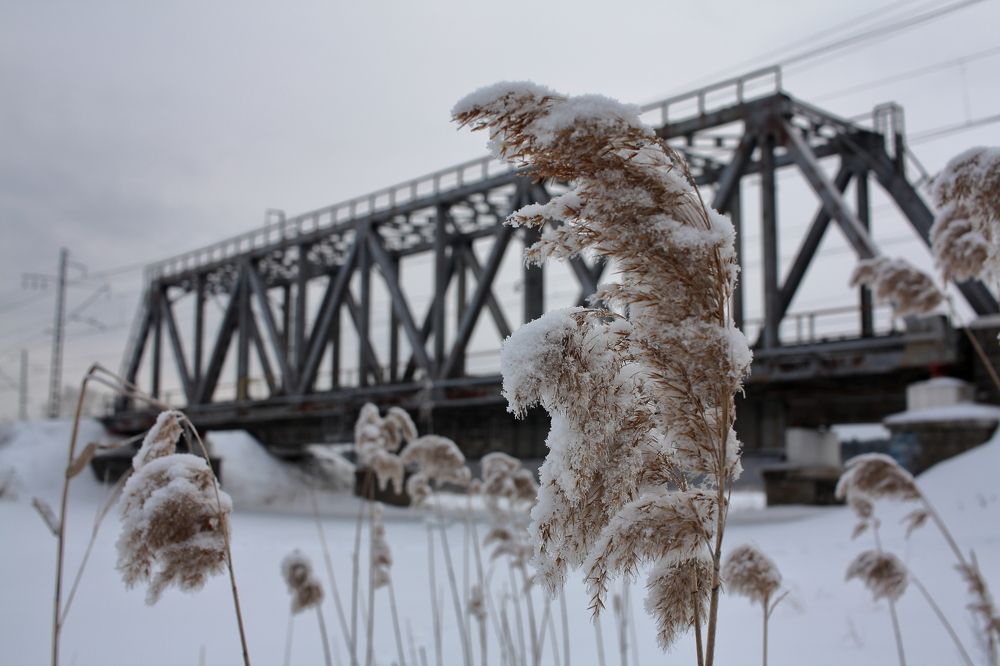 Photograph by Евгений Распопин