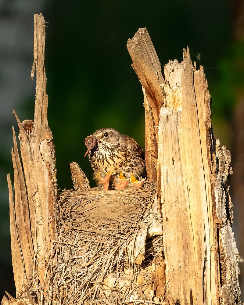 Photograph by Екатерина Дубровская