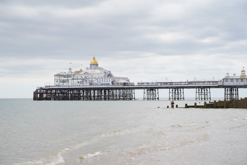 Фотография автора OVIDIU-IOAN TICU