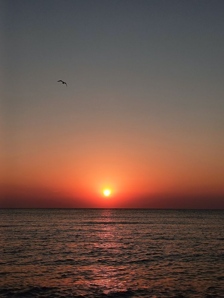 Photograph by Карина Слабкая