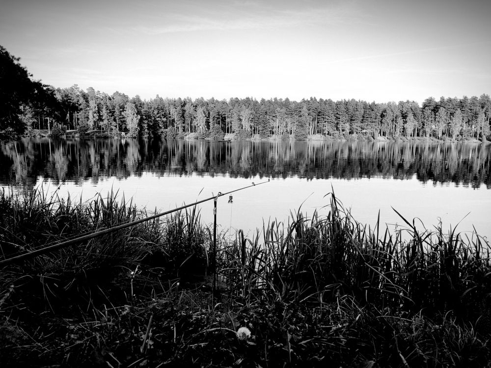 Рыбалка (ч/б)
