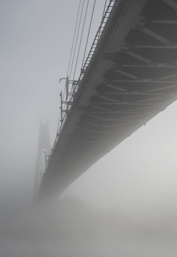 Фотография автора Ольга Лихтарь