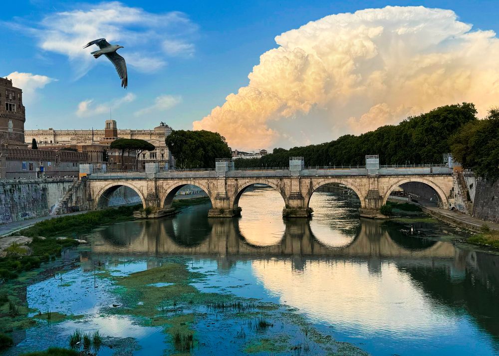 Photograph by Svetlana Pascoal