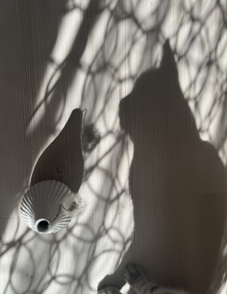 Photograph by Елена Карпухно