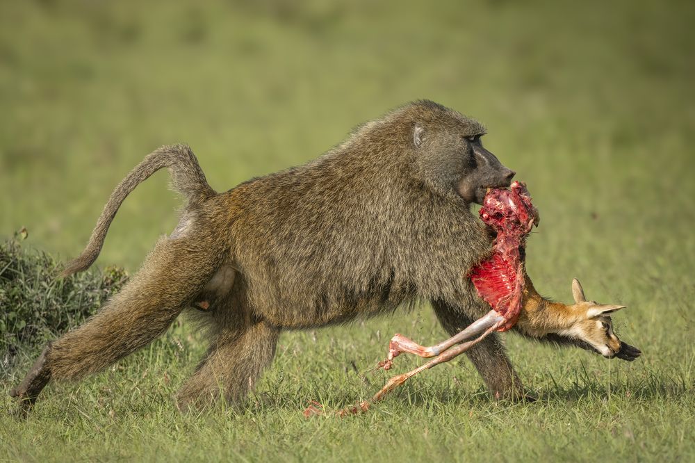 Photograph by Ravindra Kapu