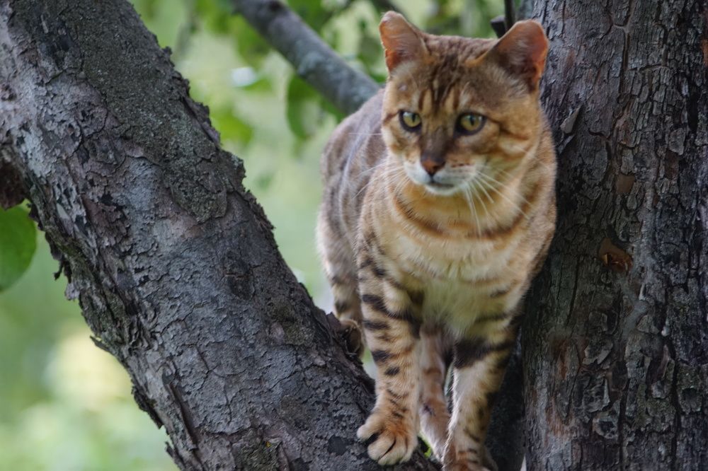 Photograph by Александр Кизим