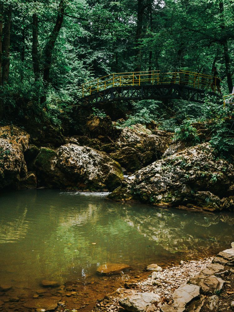 Photograph by Виктория Максюта