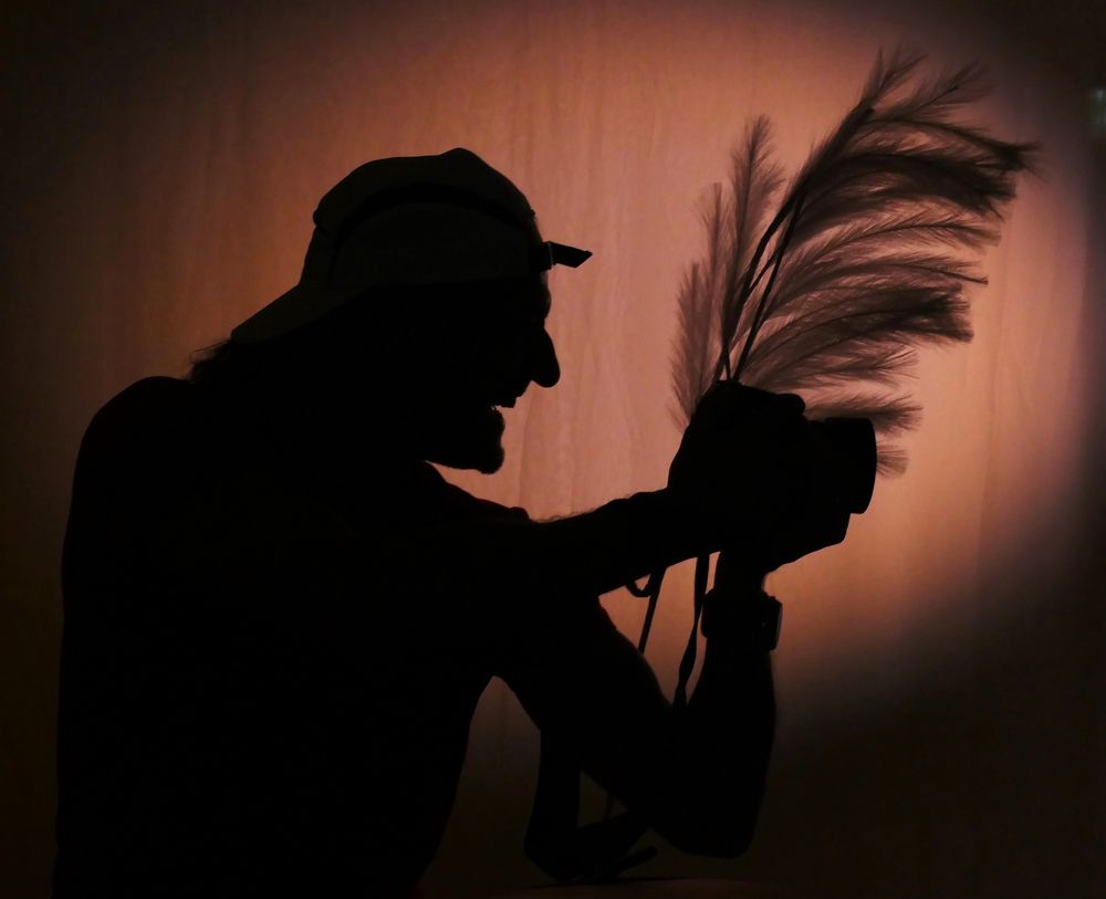 Photograph by Галина Горлицки