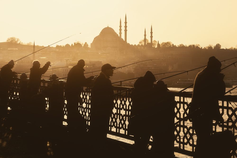 Фотография автора Анастасия Мазурева