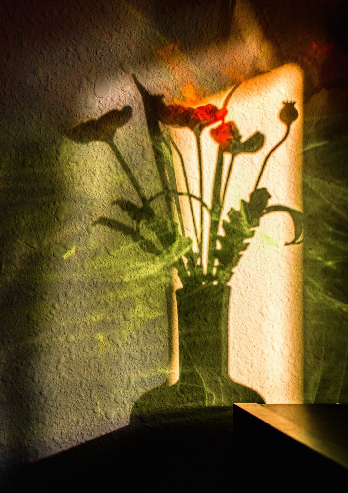 Photograph by Анатолий Костерев