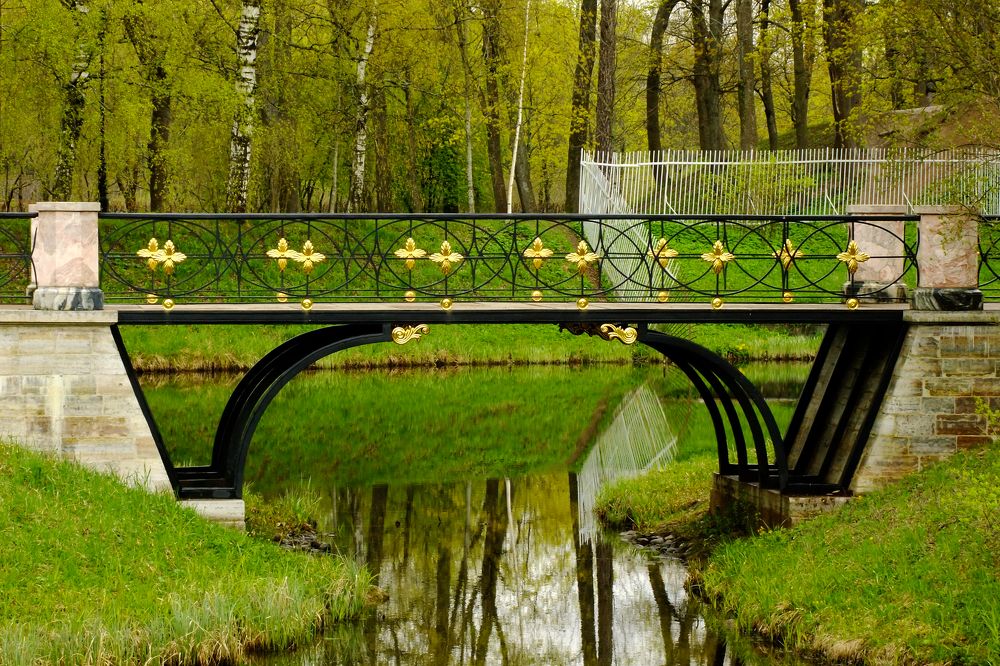 Фотография автора Гоголев Игорь