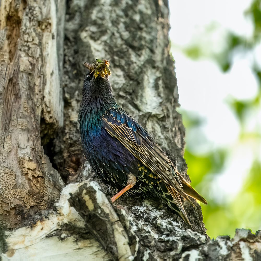 Photograph by Екатерина Дубровская