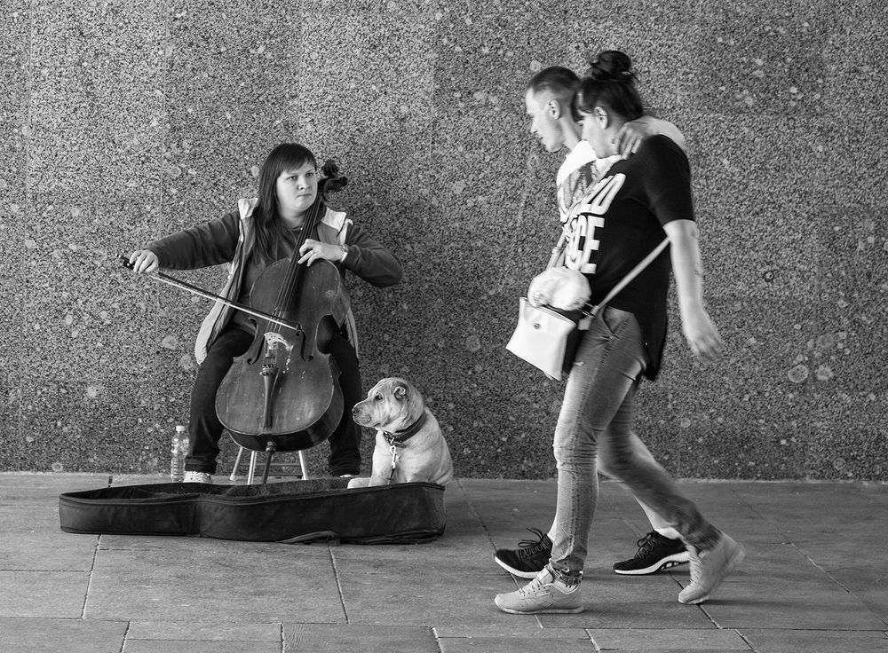 Photograph by Александр Степовой