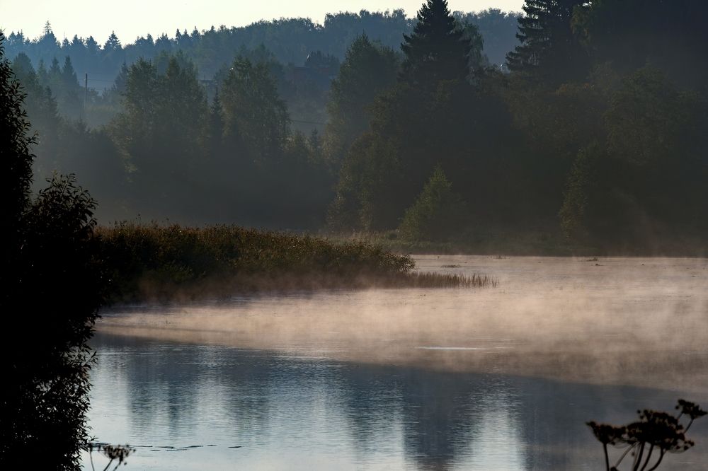 Photograph by Михаил Косолапов