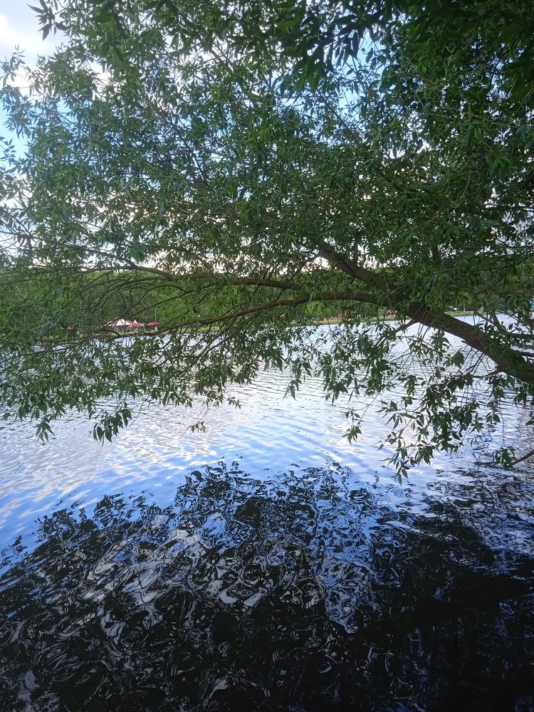 Photograph by Фёдор Викторович