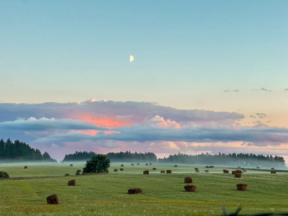 Photograph by Людмила