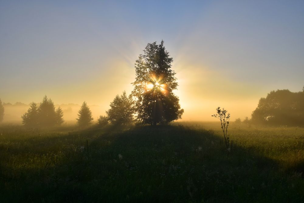 Photograph by Татьяна Калугина