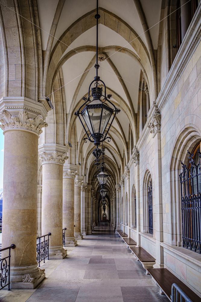 The Vienna City Hall