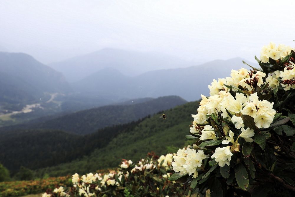 Фотография автора Колосова Елена
