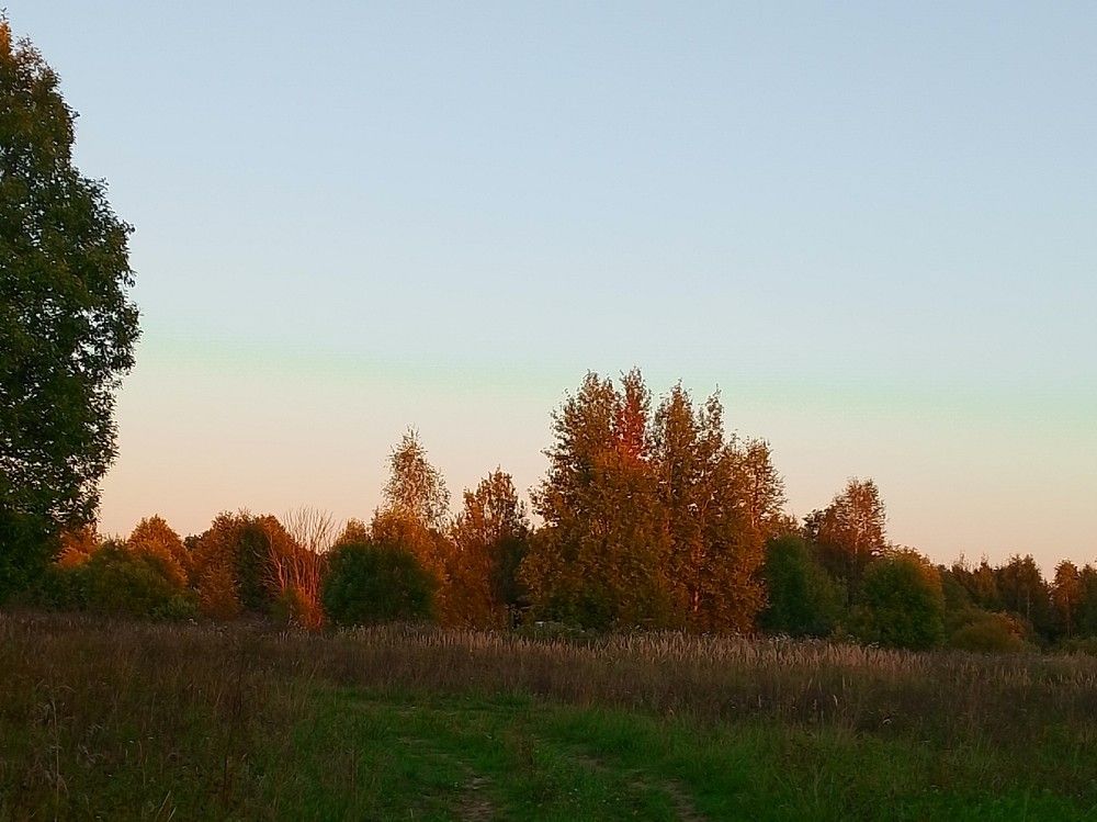 Photo #11011586