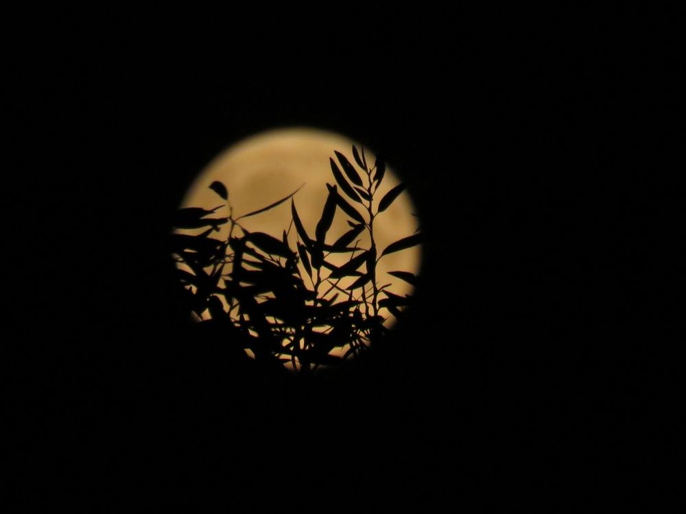 Photograph by Валерия Яскович