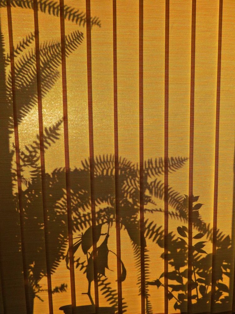 Photograph by Валерия Яскович